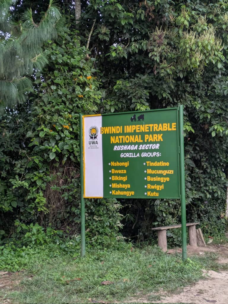 Bwindi Impenetrable Forest